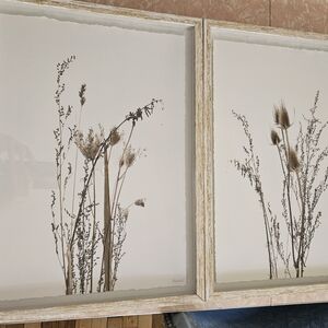 Framed Botanical Wall Art Set By MARMONT